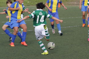 开云体育在线-英超球队引入神经科学干预提升定位球专注度的实证研究